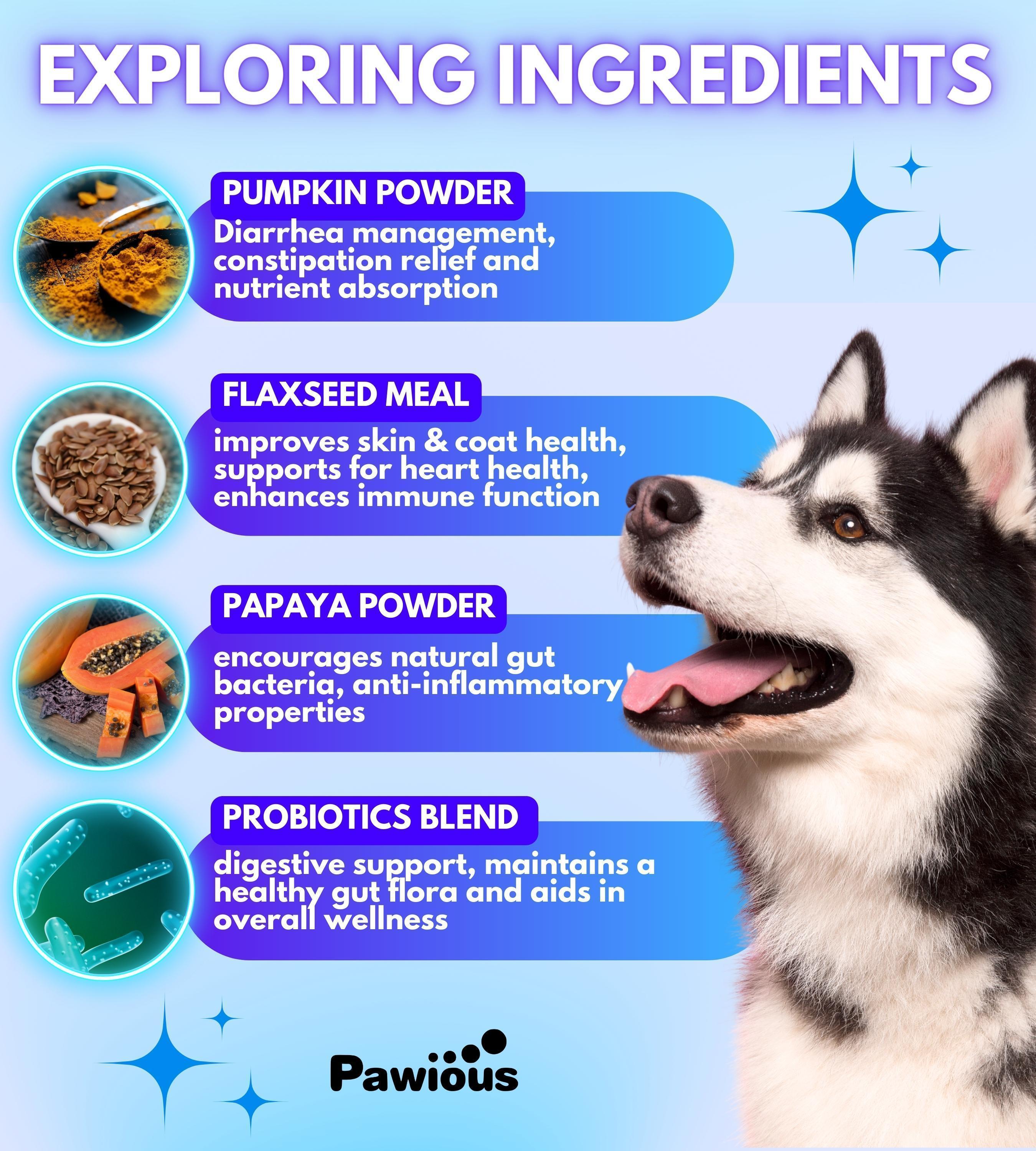 Probiotic Chews for Dog Gut