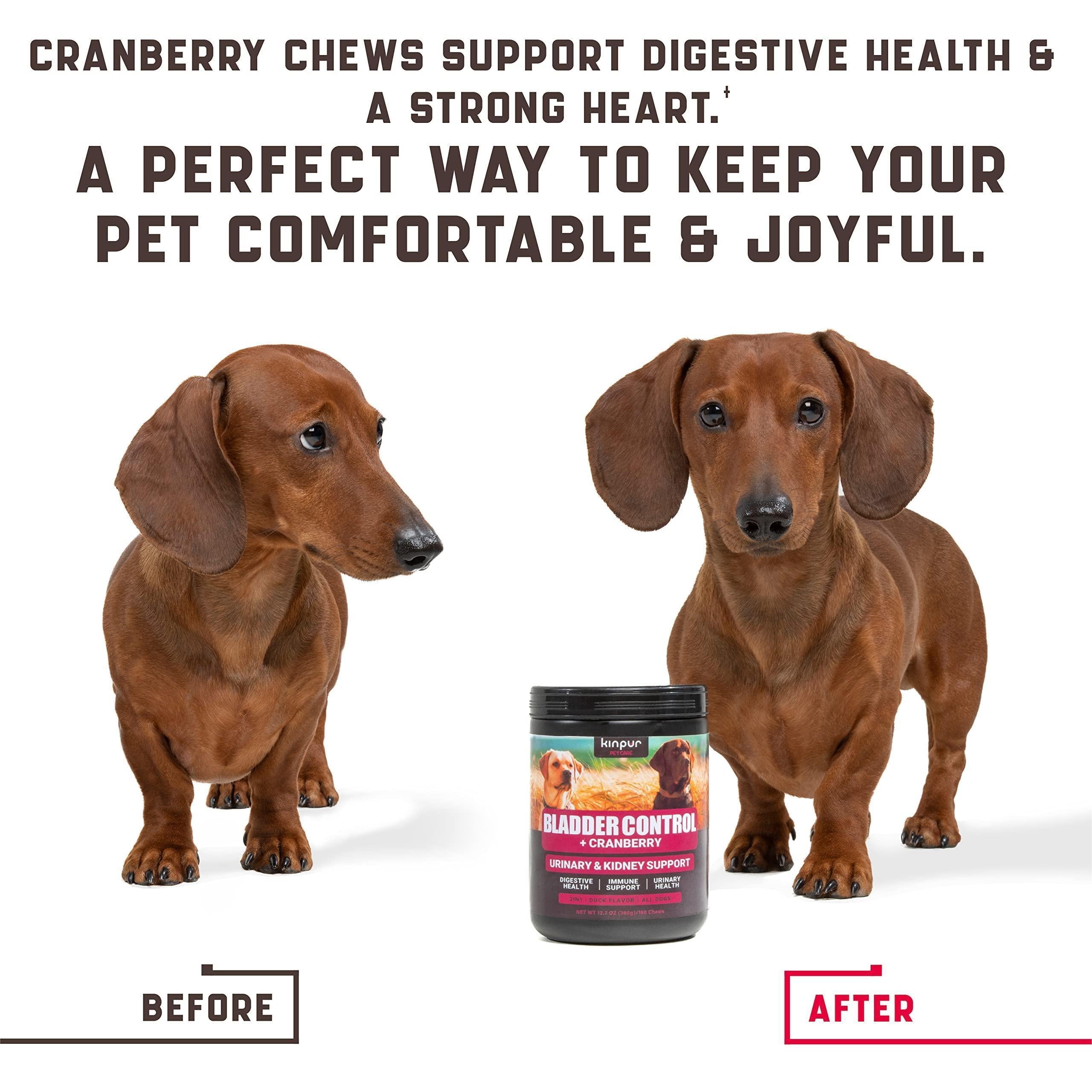 Cranberry Urinary Dog Chews
