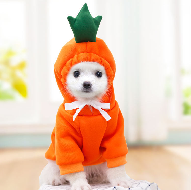 Soft Fruit Pet Hoodie