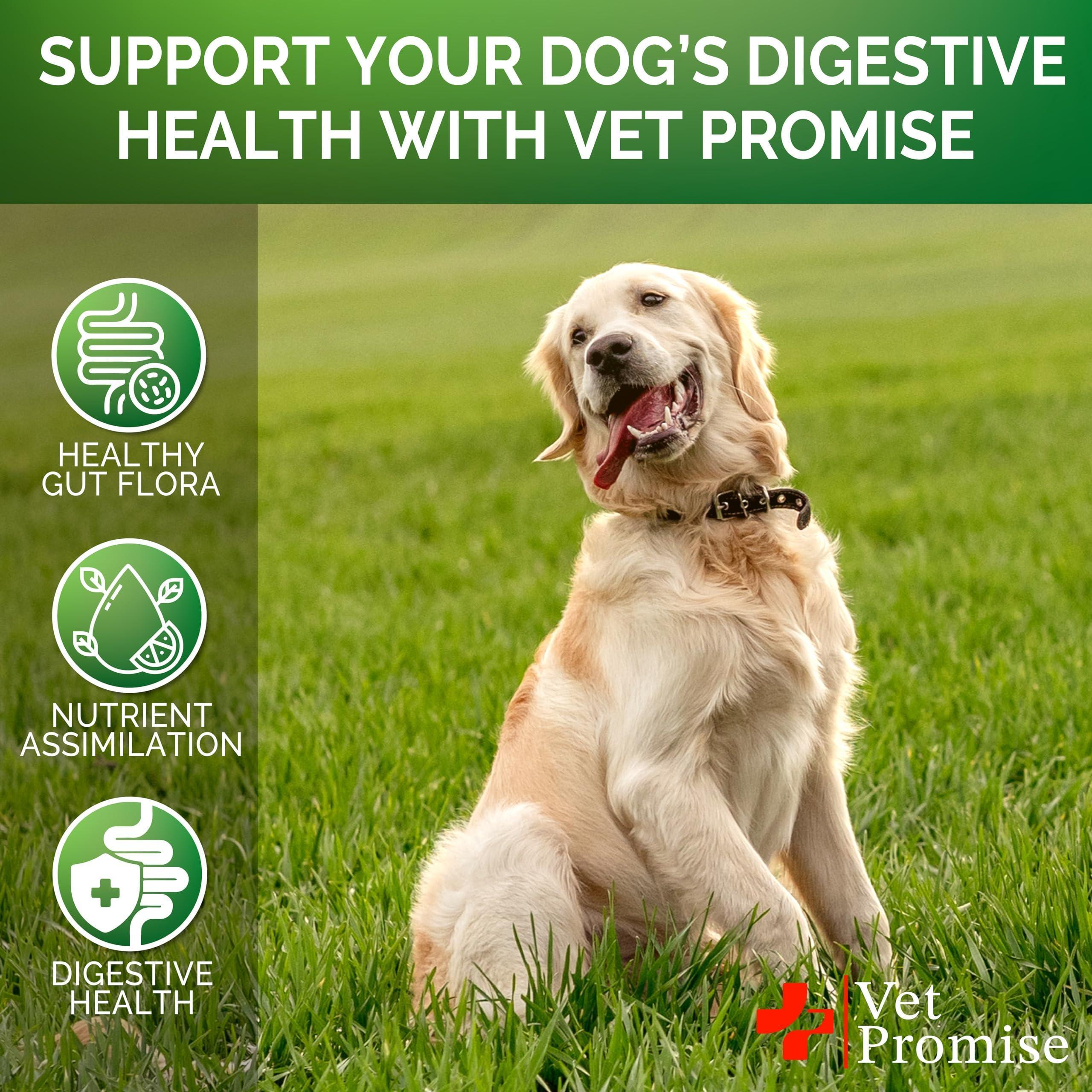 Dog Probiotic Gut Health Chews