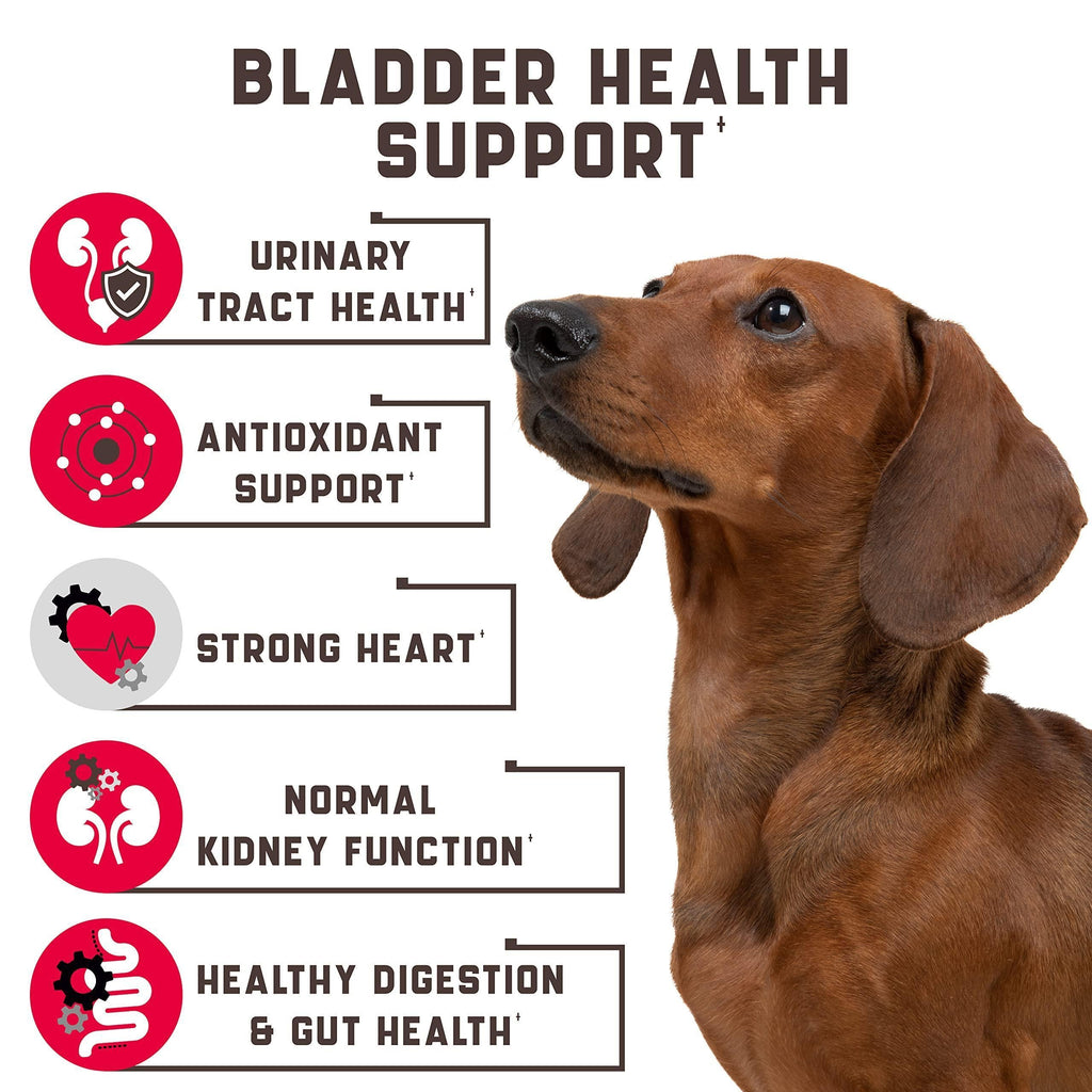 Cranberry Urinary Dog Chews