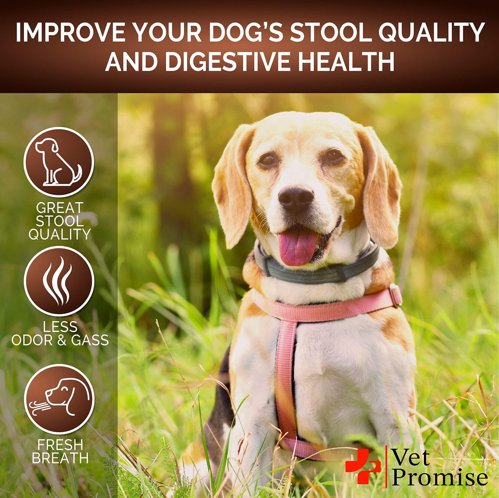 Digestive Fiber Chews for Dogs
