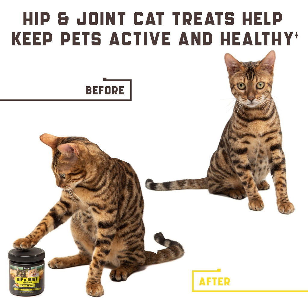 Cat Joint Support Chews