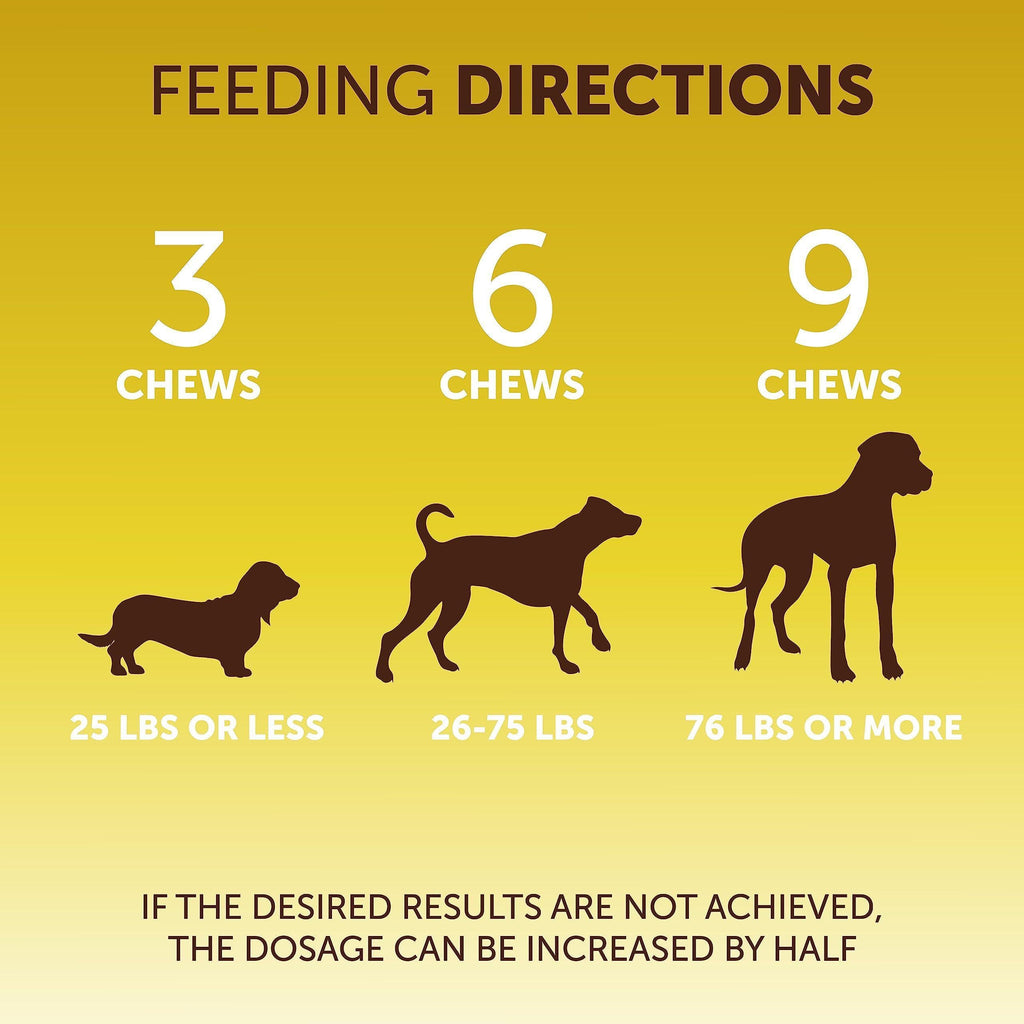 Pumpkin Fiber Chews for Dogs