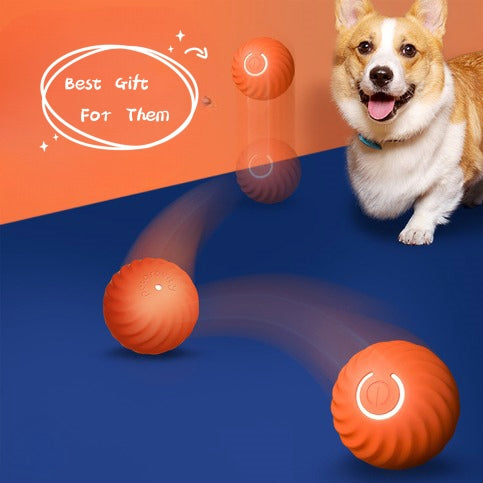 Rubber Chew Ball for Dogs