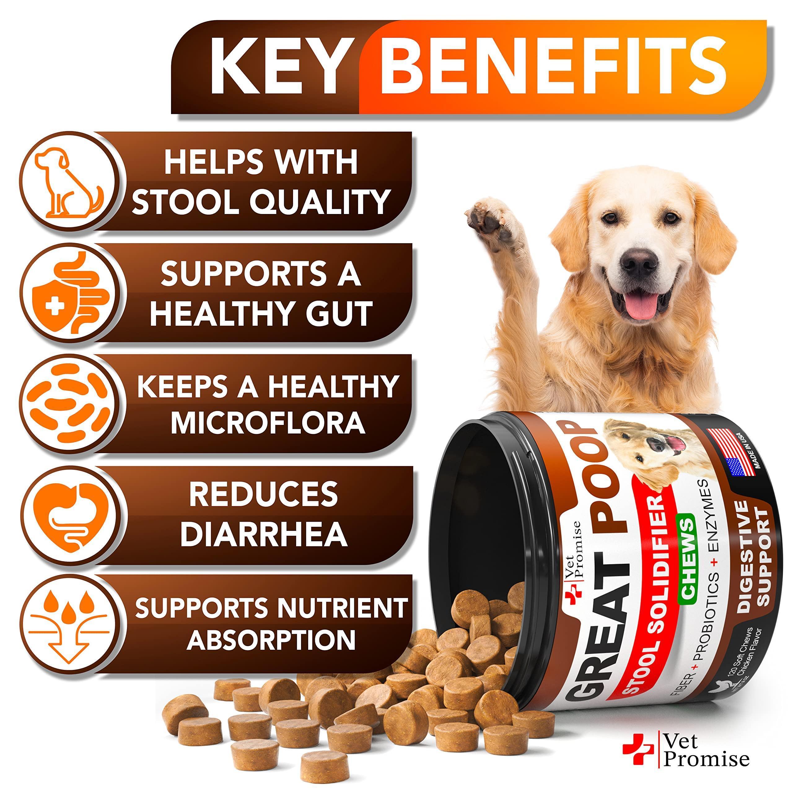 Digestive Fiber Chews for Dogs