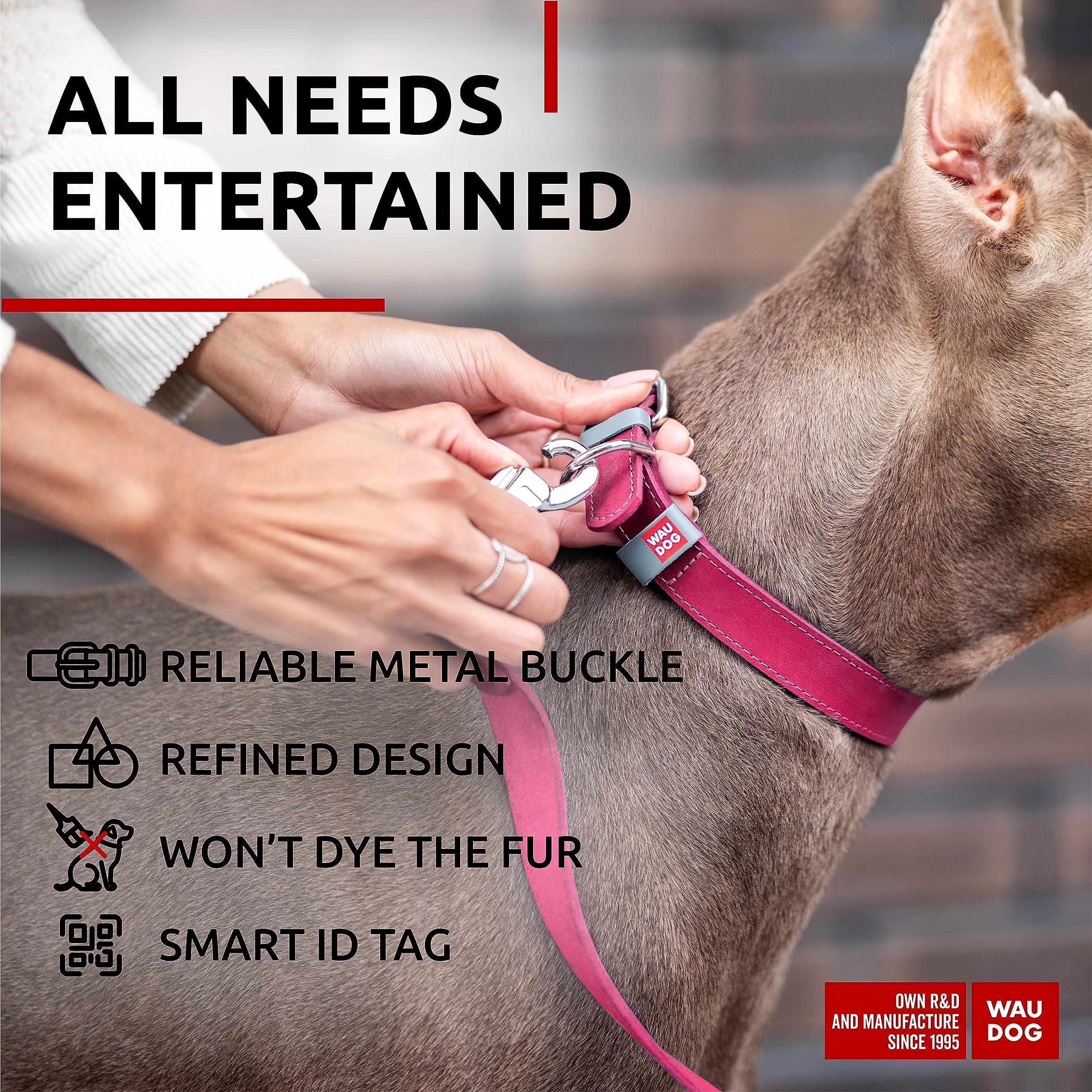 Durable Pink Leather Dog Collar 12-15 inch with genuine leather, heavy-duty stitching, metal buckle, and QR tag