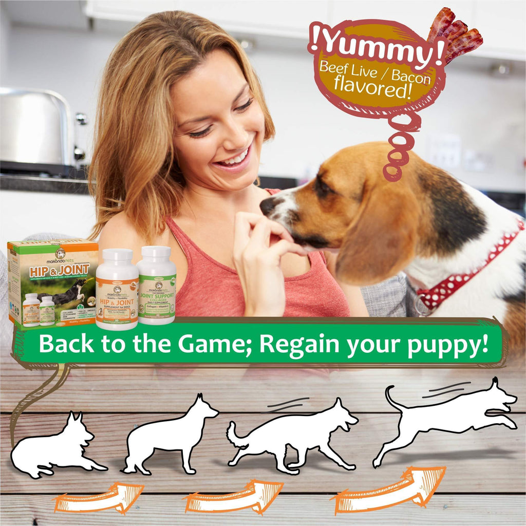 Turmeric Joint Chews for Dogs