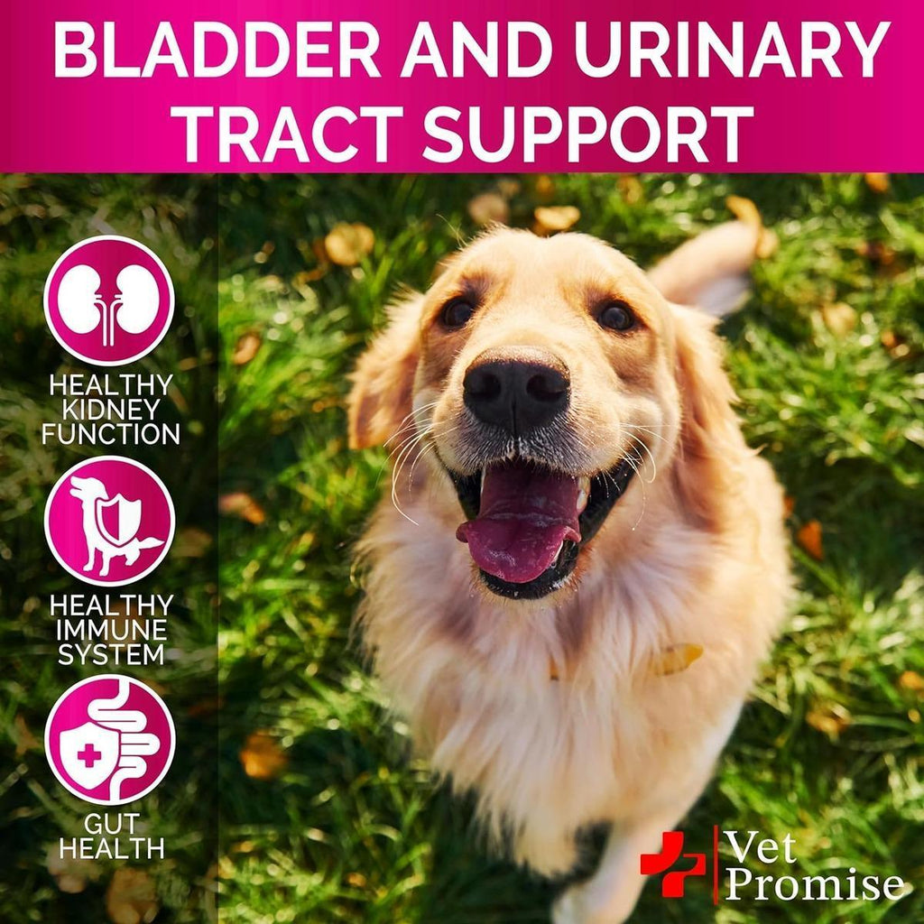 Cranberry UTI Support Chews