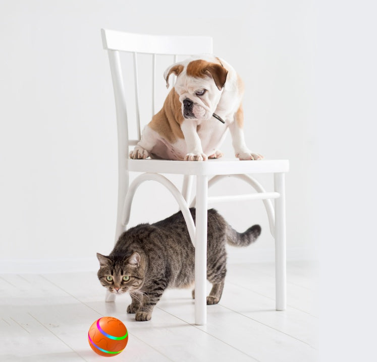 USB Rotating Cat Ball Toy