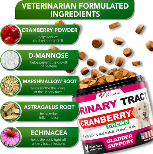 Cranberry UTI Support Chews