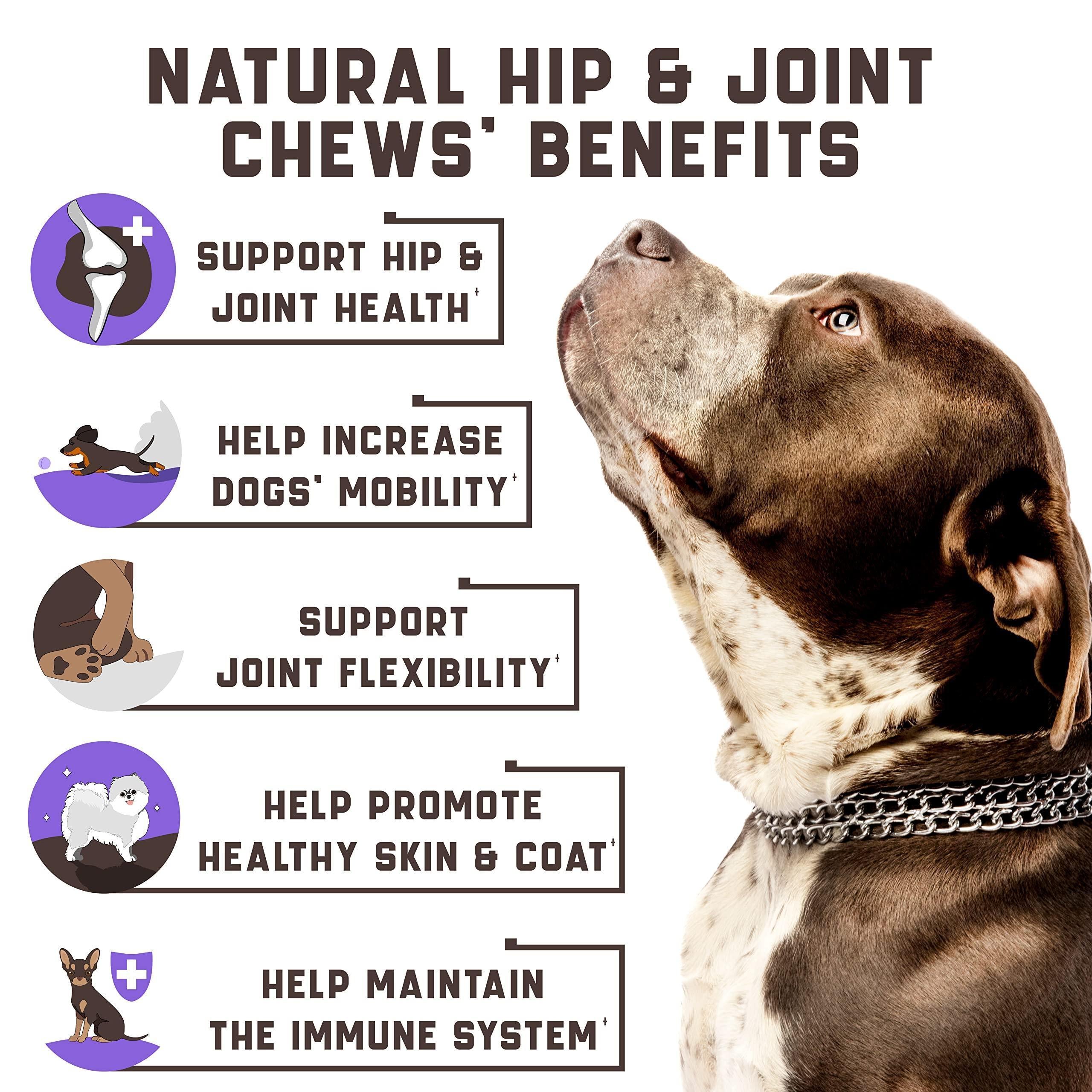 Glucosamine Joint Chews