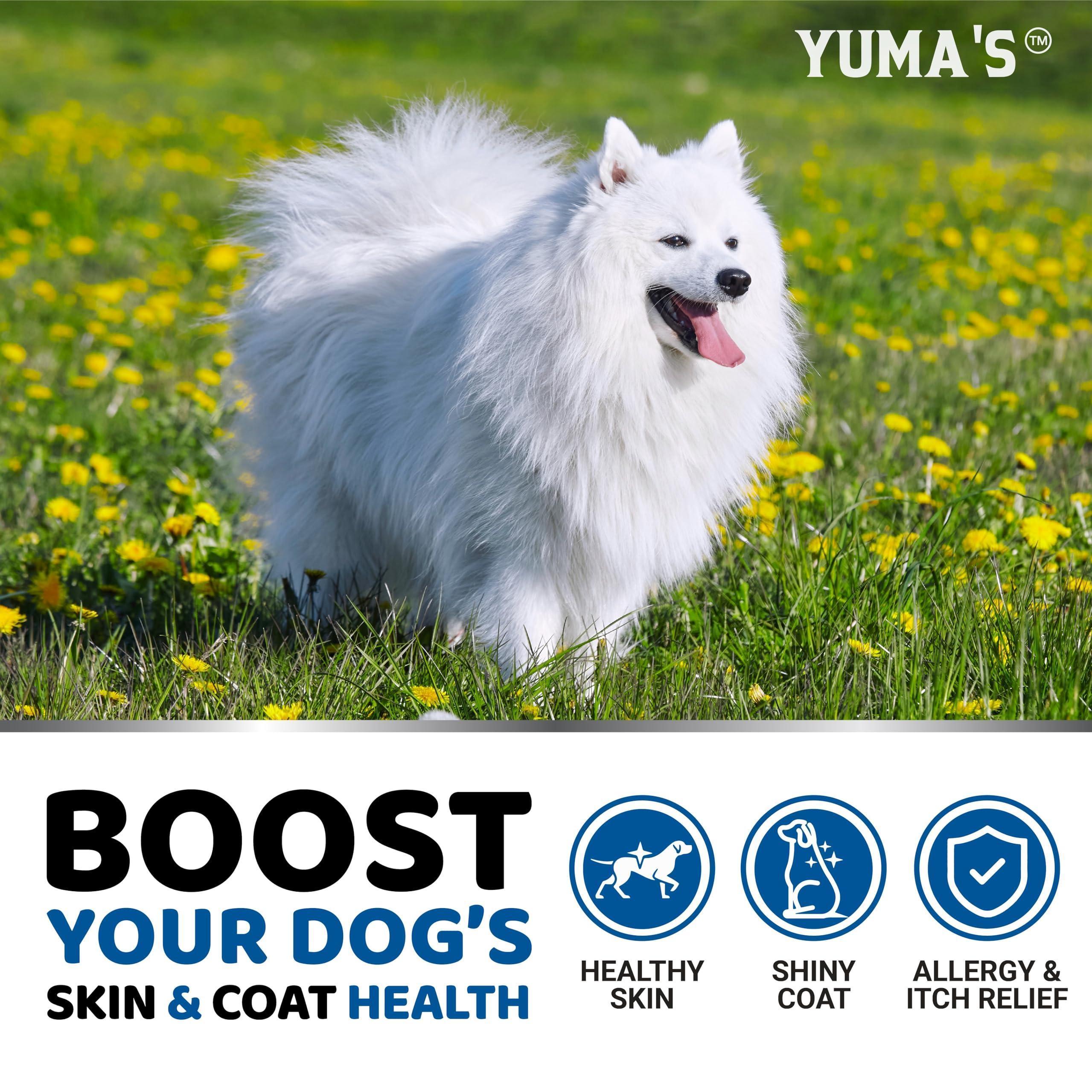 Omega 3 Skin & Coat Chews