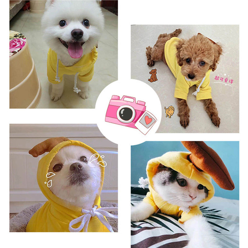 Soft Fruit Pet Hoodie