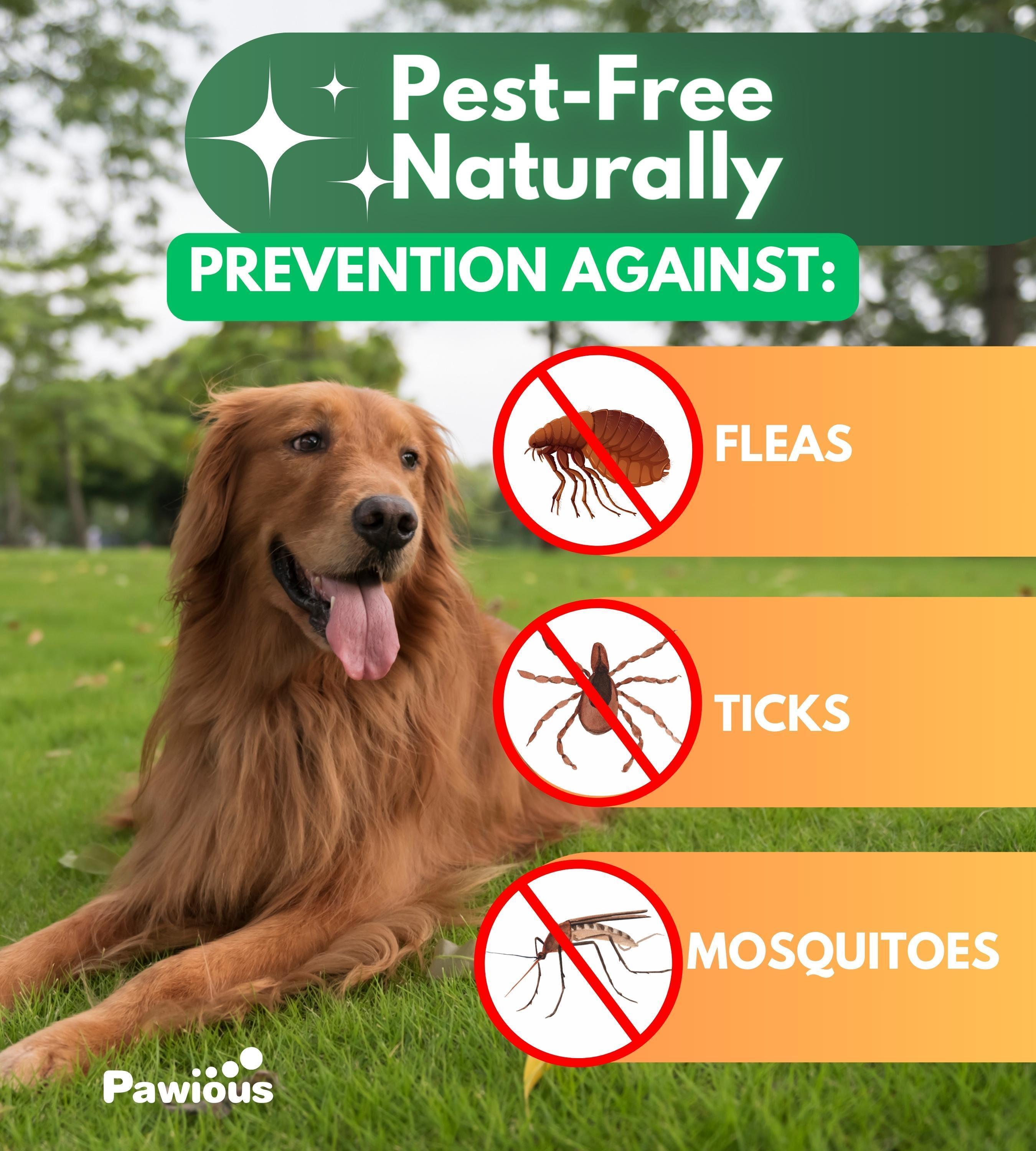 Natural Flea Tick Dog Chews