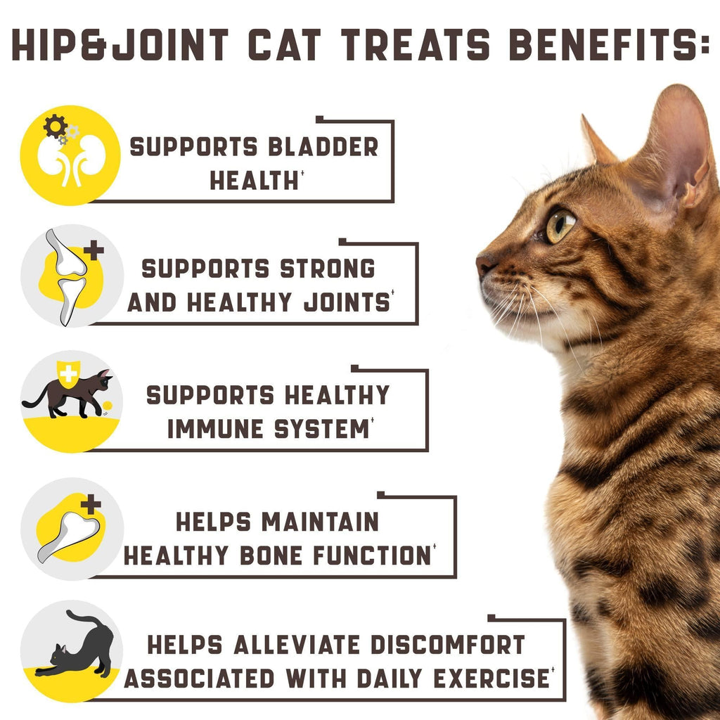 Cat Joint Support Chews