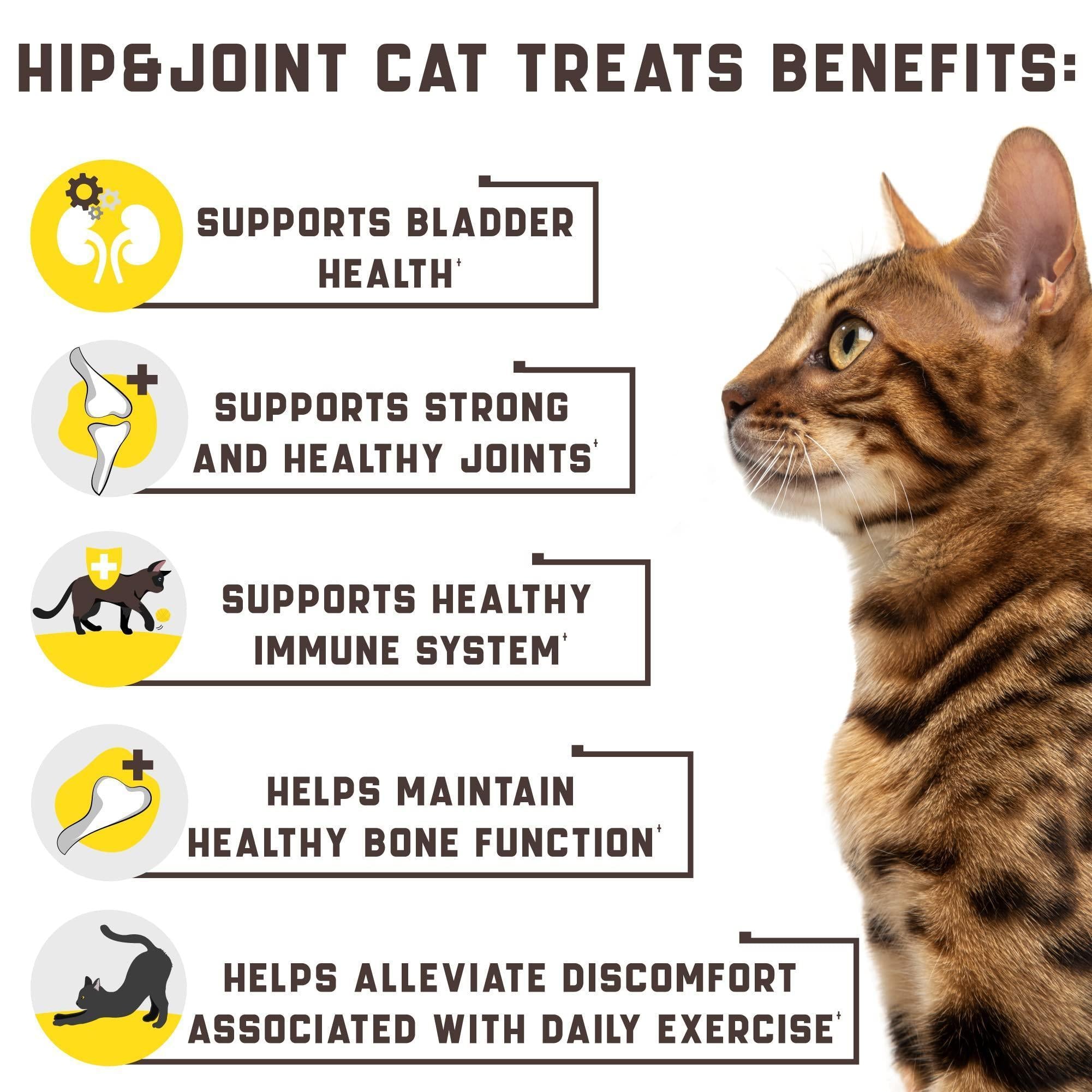 Cat Joint Support Chews