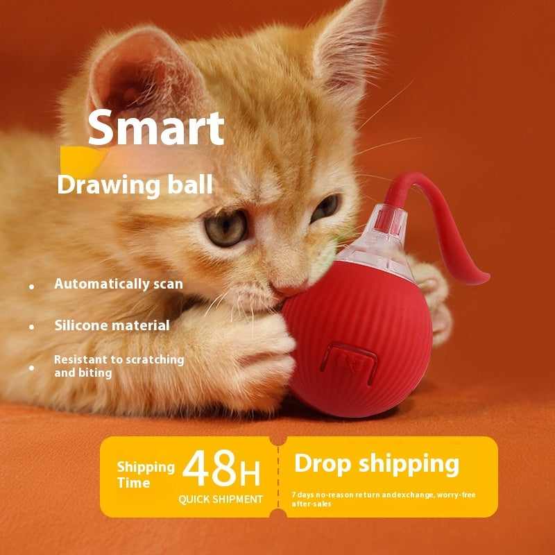 USB Self-Rolling Cat Ball