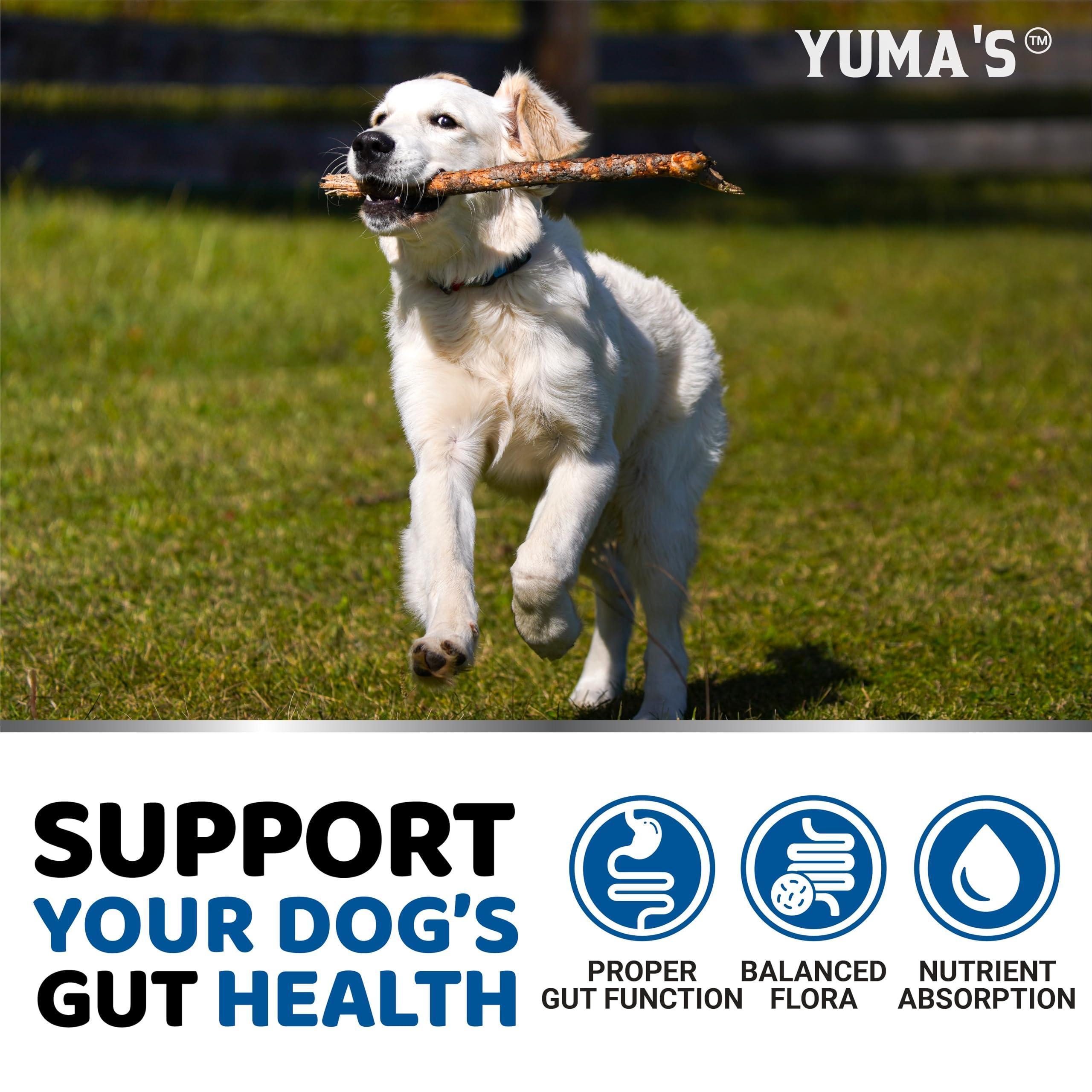 Probiotic Gut Chews for Dogs